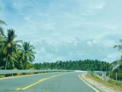 -田婆婆的菜(友谊阳光城店)