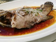 清蒸深海石斑-百乐门喜宴(海珠广场华厦店)