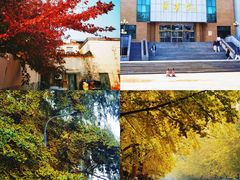 -辽宁大学(崇山校区)