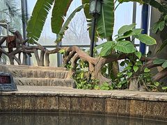 -瑞阁温泉酒店温泉中心