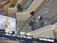 -野人先生Gelato(上海长宁龙之梦店)