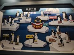 -上海海昌海洋公园