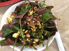 -东吴霸王兔(松青路店)