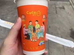 鲜芋芋圆牛奶-CoCo都可(深业东岭店)