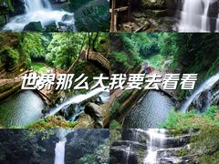 -碧峰峡风景区