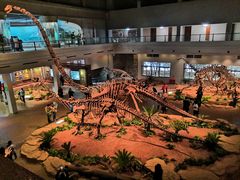 -自贡恐龙博物馆