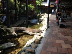 -优之名鹅城