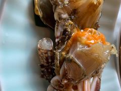 酱蟹-渔娘渔家丹东海鲜(东直门店)