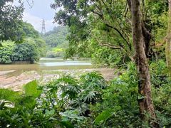 -深圳仙湖植物园