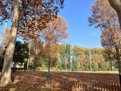 -河南省黄河迎宾馆