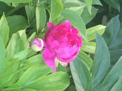 iphone_upload_pic-景山公园