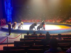 -珠海横琴长隆《卡卡虎奇遇记》