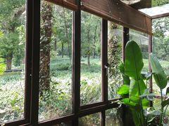 -野蔓果·山野菜(西湖景区·龙井茶田店)