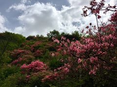 -木兰云雾山
