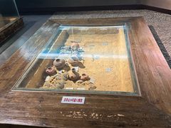 -衢州市博物馆