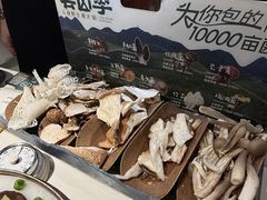 -芸山季·云南山珍菌火锅(南翔印象城MEGA店)