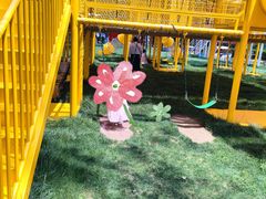 -合肥滨湖国家森林公园