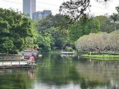 -晓港公园