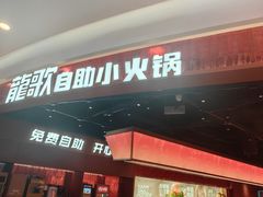 -龍歌自助小火锅(雨花台江南虹悦城店)