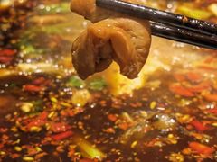 -费明中罗非鱼(大石坝店)