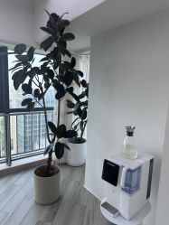 -HEYAN荷妍专业脱毛连锁机构