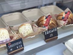-面包日报