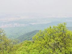 -紫金山山顶公园