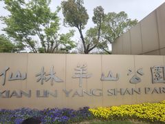 -羊山湖公园