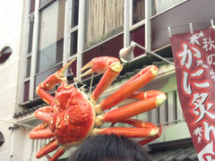 -蟹道乐(道顿堀本店)