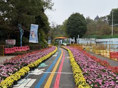 -南宁市凤岭儿童公园