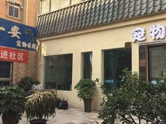 -特一安24小时宠物医院·骨科·中兽医