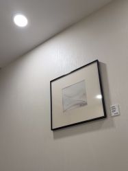 -智美品质医美