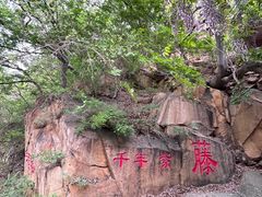 -龙口南山旅游景区