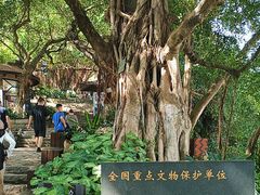 -胡里山炮台