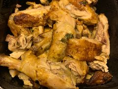 -百好乐宠物友好餐厅(朝外大街店)