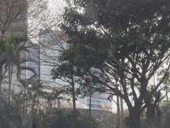 -深圳大梅沙京基洲际度假酒店