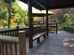 -圩墩遗址公园