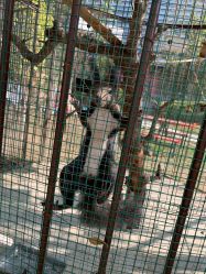 -萌宠亲子动物乐园(槐房万达店)