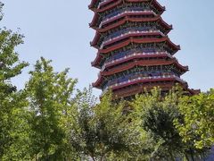 -金城公园