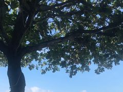 -广百家超市(大东海店)