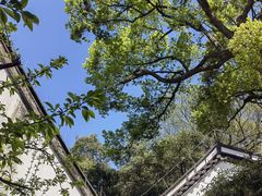 -浙江省博物馆(孤山馆区)