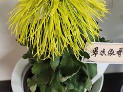 -杭州植物园