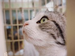 -情忆草原涮肉馆