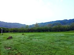 -苏州上方山国家森林公园
