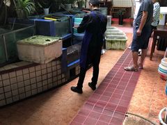 -稻香村鱼庄