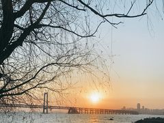 -星海湾跨海大桥