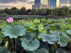 -西海子公园