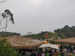 -黄龙溪欢乐田园