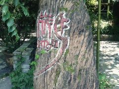 iphone_upload_pic-旅马餐厅(茅家埠店)