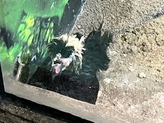 -苏州海洋馆